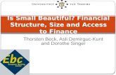 Thorsten Beck, Asli Demirguc-Kunt and Dorothe Singer Is Small Beautiful? Financial Structure, Size and Access to Finance.