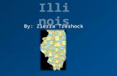 By: Zierra Treshock. Date It Became a State Illinois became the 21 st State of the United States of America on December 3, 1818.