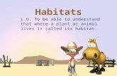 Habitats L.O. To be able to understand that where a plant or animal lives is called its habitat.