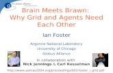 Brain Meets Brawn: Why Grid and Agents Need Each Other Ian Foster Argonne National Laboratory University of Chicago Globus Alliance In collaboration with.