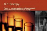 8.5 Energy Focus 1: Living organisms make compounds which are important sources of energy.