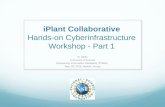 IPlant Collaborative Hands-on Cyberinfrastructure Workshop - Part 1 R. Walls University of Arizona Biodiversity Information Standards (TDWG) Sep. 28, 2015,