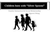 Children born with “Silver Spoons” Family Interaction & Social Relationship Agreen Wang.