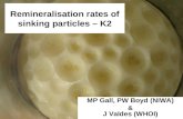 Remineralisation rates of sinking particles – K2 MP Gall, PW Boyd (NIWA) & J Valdes (WHOI)
