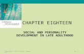 CHAPTER EIGHTEEN SOCIAL AND PERSONALITY DEVELOPMENT IN LATE ADULTHOOD.
