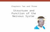 Chapters Two and Three Structure and Function of the Nervous System.