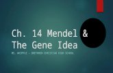 Ch. 14 Mendel & The Gene Idea MS. WHIPPLE – BRETHREN CHRISTIAN HIGH SCHOOL.