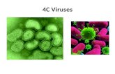 4C Viruses. NONLIVING Contain either DNA or RNA (but NEVER Both) VIRUS.