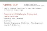 Agenda: 5/20 Tools of Genetics: Restriction Enzymes, Recombinant DNA (Genetic Engineering) Recombinant DNA (Genetic Engineering) What, why, how Reading-