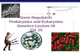 AP Biology 2007-2008 Gene Regulation Prokaryotes and Eukaryotes Genetics Lecture #6 CH. 15.