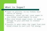 What is Sugar? Sugar or glucose, is our bodies main source of energy. Normally, after you eat, your sugar in your blood stream begins to rise. When your.