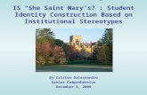 IS “She Saint Mary’s?”: Student Identity Construction Based on Institutional Stereotypes By Cristen Dalessandro Senior Comprehensive December 3, 2009.