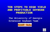 TEN STEPS TO HIGH YIELD AND PROFITABLE SOYBEAN PRODUCTION The University of Georgia Extension Soybean Team.