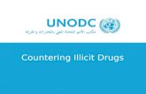 Countering Illicit Drugs. Transnational organized crime Trafficking in persons Trafficking in arms Trafficking in drugs Smuggling of migrants Smuggling.
