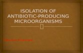 T.Monirah Alhammadi.   There are several ways to isolate microbes that produce antibiotics from the soil. Below are some methods used to isolate microbes.