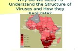 1 Why Do We Need To Understand the Structure of Viruses and How they Replicate? .