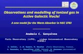 Observations and modelling of ionized gas in Active Galactic Nuclei Anabela C. Gonçalves Paris Observatory (LUTH), Lisbon Astronomical Observatory (CAAUL)