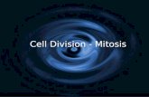 Cell Division - Mitosis. So WHY do cells divide? Smaller cells have a larger surface area (cell membrane) to volume (cytoplasm/organelles) ratio and therefore.