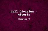 Cell Division - Mitosis Chapter 9. I.Review of Cell Nuclei A.nuclear membrane, nuclear pores, nucleoplasm B.contains chromosomes 1.long piece of DNA wound.