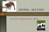 ANIMAL WELFARE ELISTA Education 2011. Evolution, Domestication, Natural Selection & Selective Breeding.