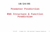10/24/05 D Dobbs ISU - BCB 444/544X: Promoter Prediction1 10/24/05 Promoter Prediction RNA Structure & Function Prediction.