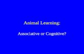 Animal Learning: Associative or Cognitive?. EnvironmentBehavior Environment Behavior The Mind mental representations Learning/Behavioral Psychology Cognitive.