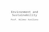Environment and Sustainability Prof. Wilmer Arellano.