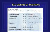 Six classes of enzymes. Factors affecting enzyme activity Post-transcriptional modification/ Regulatory events pH Temperature Enzyme or Substrate concentration.