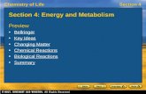 Chemistry of LifeSection 4 Section 4: Energy and Metabolism Preview Bellringer Key Ideas Changing Matter Chemical Reactions Biological Reactions Summary.