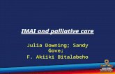 IMAI and palliative care Julia Downing; Sandy Gove; F. Akiiki Bitalabeho.