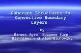 Coherent Structures in Convective Boundary Layers by Ernest Agee, Suzanne Zurn-Birkhimer and Alex Gluhovsky.