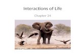 Interactions of Life Chapter 24. Living Earth The part of Earth that supports life is called the biosphere. – Top portion of the crust, all the waters.