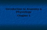 Introduction to Anatomy & Physiology Chapter 1 Introduction to Anatomy & Physiology Chapter 1.