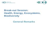 Break-out Session: Health, Energy, Ecosystems, Biodiversity General Remarks.