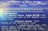 Introduction to Marine Biology Aquatic Science – Mrs. Walker and Mrs. Eilers The marine environment is divided into areas with homogenous physical characteristics.