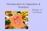 Introduction to Digestion & Nutrition Biology 11 S.Dosman.