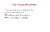 Pharmacodynamics Pharmacodynamics includes the experimental study of : Mechanism of drug action. Pharmacological effects.