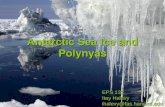 Antarctic Sea Ice and Polynyas EPS 131 Itay Halevy ihalevy@fas.harvard.edu.