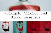 Multiple Alleles and Blood Genetics. Mendel’s Principles – A Review Inheritance of traits is determined by genes. Genes are passed from parents to offspring.
