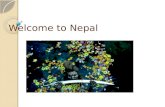 Welcome to Nepal. Kathmandu, Nepal Government of the Nepalese Federal Democratic Republic of Nepal ◦ The worlds newest republic ◦ Gained independence.