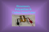 Biosensors, Polyaniline & Carbon NanoTubes. A Biosensor will be used for detecting bacteria & viruses within only a few minutes.