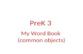 PreK 3 My Word Book (common objects) Pencil, pencil what do you see?