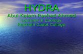 HYDRA Abul Kalam Rashad Ahmed Lecturer in Zoology Rajshahi Cadet College.