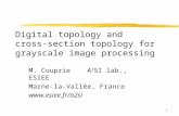1 Digital topology and cross-section topology for grayscale image processing M. Couprie A 2 SI lab., ESIEE Marne-la-Vallée, France .