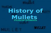 History of Mullets Pictorial Evidence. History of Mullets - What is a mullet? A mullet is a form of ridiculous haircut Short on the sides and long at.