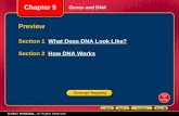 Chapter 5 Preview Section 1 What Does DNA Look Like?What Does DNA Look Like? Section 2 How DNA WorksHow DNA Works Genes and DNA Concept Mapping.