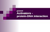 General: Activators - protein-DNA interaction. MBV4230 Odd S. Gabrielsen The sequence specific activators: transcription factors Modular design with a.
