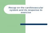 Recap on the cardiovascular system and its response to exercise.