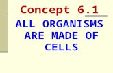 Concept 6.1 ALL ORGANISMS ARE MADE OF CELLS. THE CELL THEORY 1. All living things are composed of cells. 2. Cells are the basic unit of structure and.