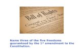 Name three of the five freedoms guaranteed by the 1 st amendment to the Constitution.